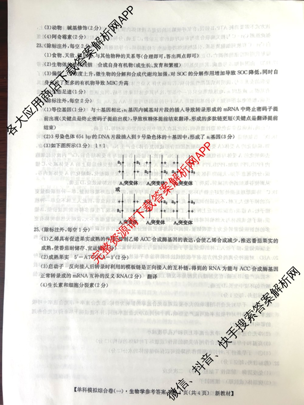 2025新高考单科模拟综合卷(三)3试卷及答案汇总（含历史(湖南) 物理(河北) 生物(河北)等36份）生物答案