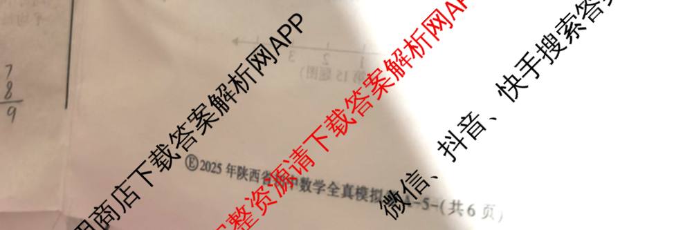 2025年陕西省初中学业水考试•全真模拟卷A(圆圈E)(已更新数学、道德与法治、物理等9份)数学试题