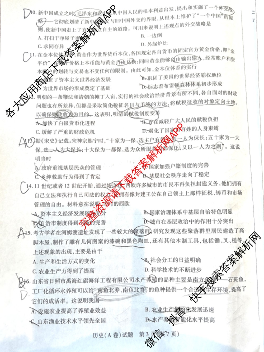 天一大联考2024-2025学年高二年级阶段性测试(二)2（含化学、政治(B卷)、语文等）历史试题