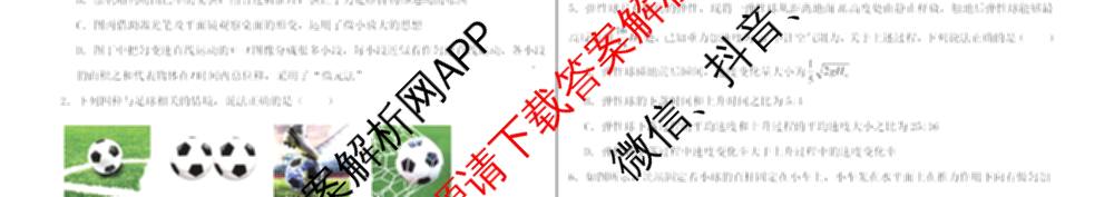 哈师大附中2025级2025-2026学年度第一学期期中考试（9科全）物理试题
