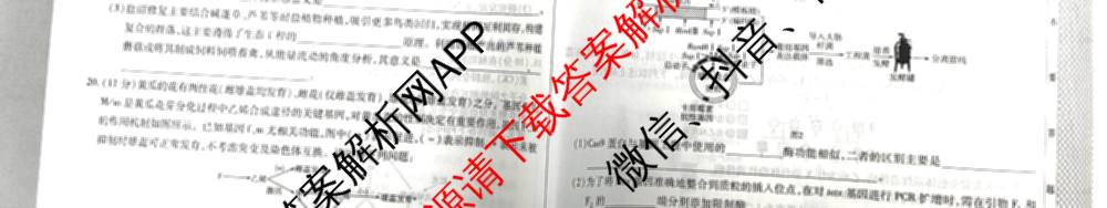 天一大联考2026届高考全真模拟卷(八)8（含生物(专版)、历史(专版)、政治(安徽专版)等）生物试题