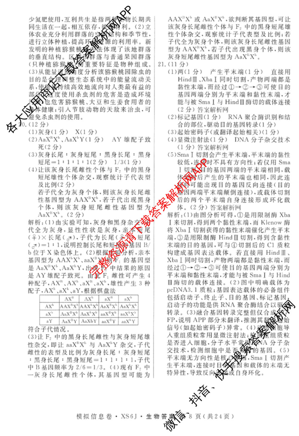 2026年普通高等学校招生统一考试模拟信息卷(二)2各科答案及试卷（含数学(XS6)、政治(XS6J)、语文(XS6G)等）生物答案