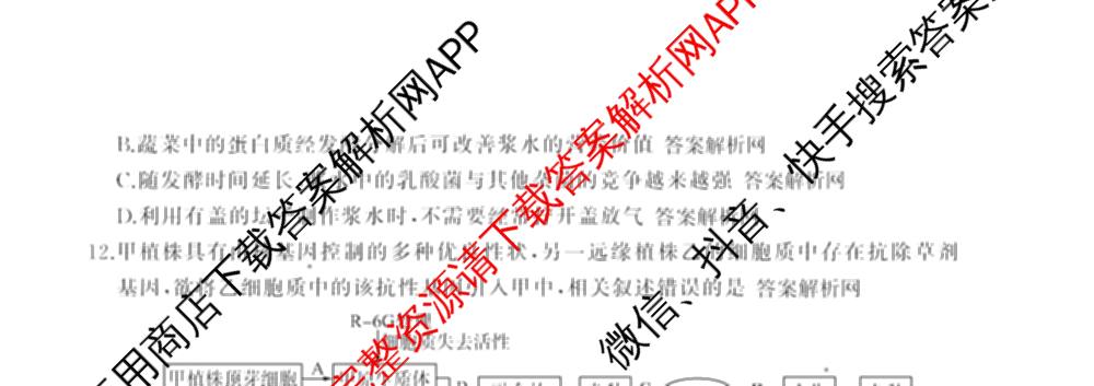 百师联盟2025届高三冲刺卷(四)4试卷及答案汇总（39科全）生物试题