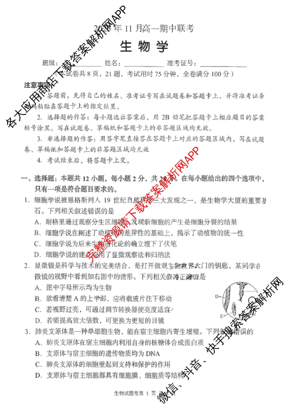 A佳教育G10/H11/三新教育联盟2025 年秋季高一期中联考（含英语 化学 政治等）生物试题