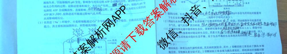1号卷A10联盟2026届高三上学期8月底学情调研考各科答案及试卷(含日语 政治 语文等)生物试题 1号卷A10联盟2026届高三上学期8月底学情调研考各科答案及试卷(含日语 政治 语文等)生物试题