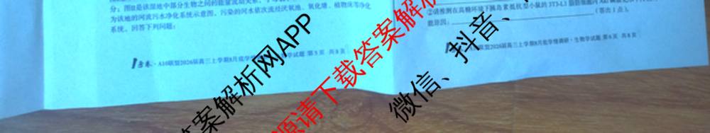 1号卷A10联盟2026届高三上学期8月底学情调研考各科答案及试卷(含日语 政治 语文等)生物试题 1号卷A10联盟2026届高三上学期8月底学情调研考各科答案及试卷(含日语 政治 语文等)生物试题