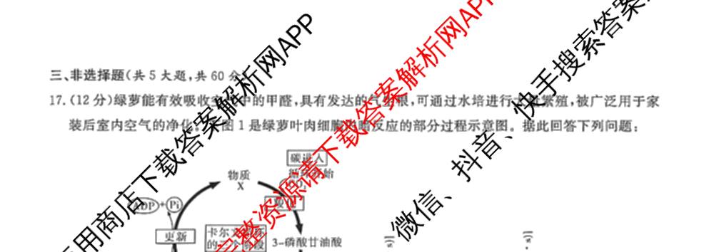 炎德英才大联考长沙市一中2026届高三月考试卷(七)(Q7)各科答案及试卷: 含英语 地理 数学试卷解析生物试题