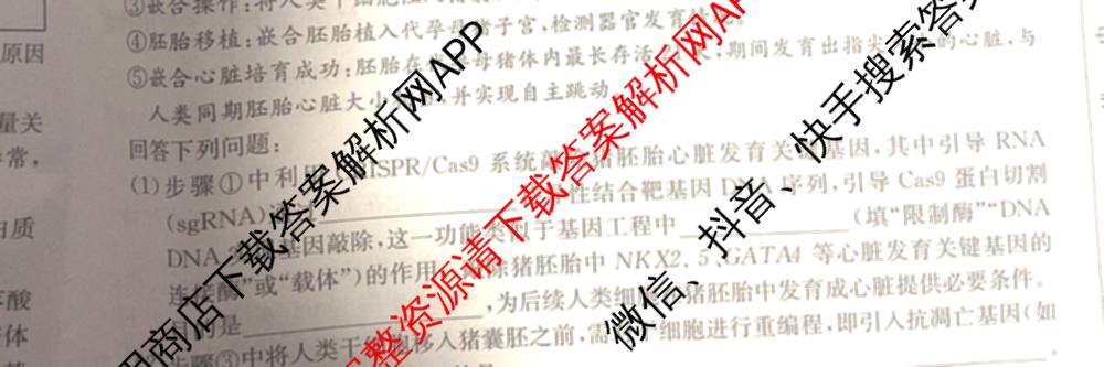 2026年全国高考仿真模拟卷(五)5试卷及答案汇总（含政治(河南)、物理(广西)、政治(E2)等）理综试题