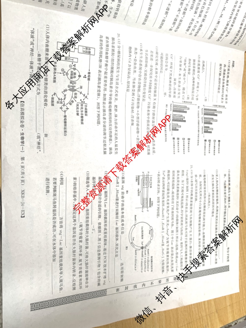 XKB-J-EX 2026届普通高等学校招生全国统一考试仿真模拟金卷(一)1试卷及答案汇总（含语文(XKB-J1-EX)、政治(XKB-J3-EX)、地理(XKB-J10-EX)等14份）生物试题