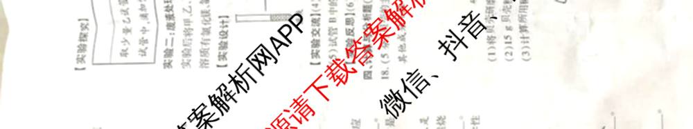 X-22025年陕西省初中学业水平考试信息卷[试卷类型A]（含数学 道德与法治 英语等7份）化学试题