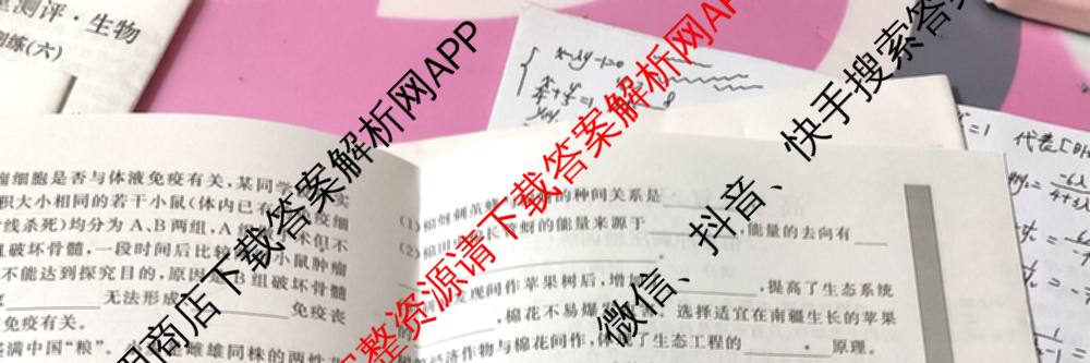 2026高考总复课堂测评 信息冲刺压轴训练(三)3各科答案及试卷: 含化学、文综(新A)、物理(4)试卷解析生物试题