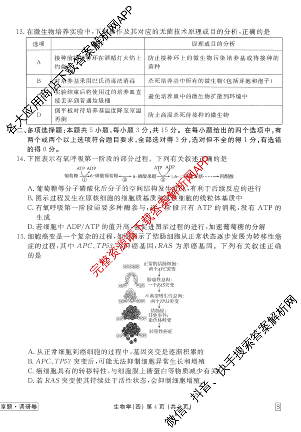 衡水金卷先享题调研卷2026年普通高等学校招生全国统一考试模拟试题(四)4试卷及答案汇总(已更新生物(Y) 政治(FJ) 地理(HJ)等31份)生物试题