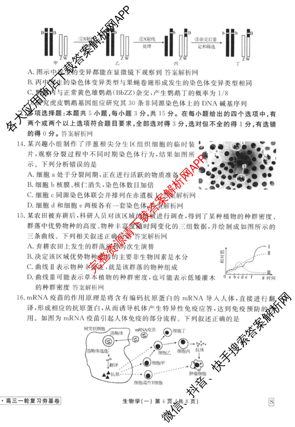衡水金卷先享题夯基卷 2026年普通高等学校招生全国统一考试模拟 (一)1试卷及答案汇总: 含政治、物理(Q)、地理(MH)试卷解析生物试题