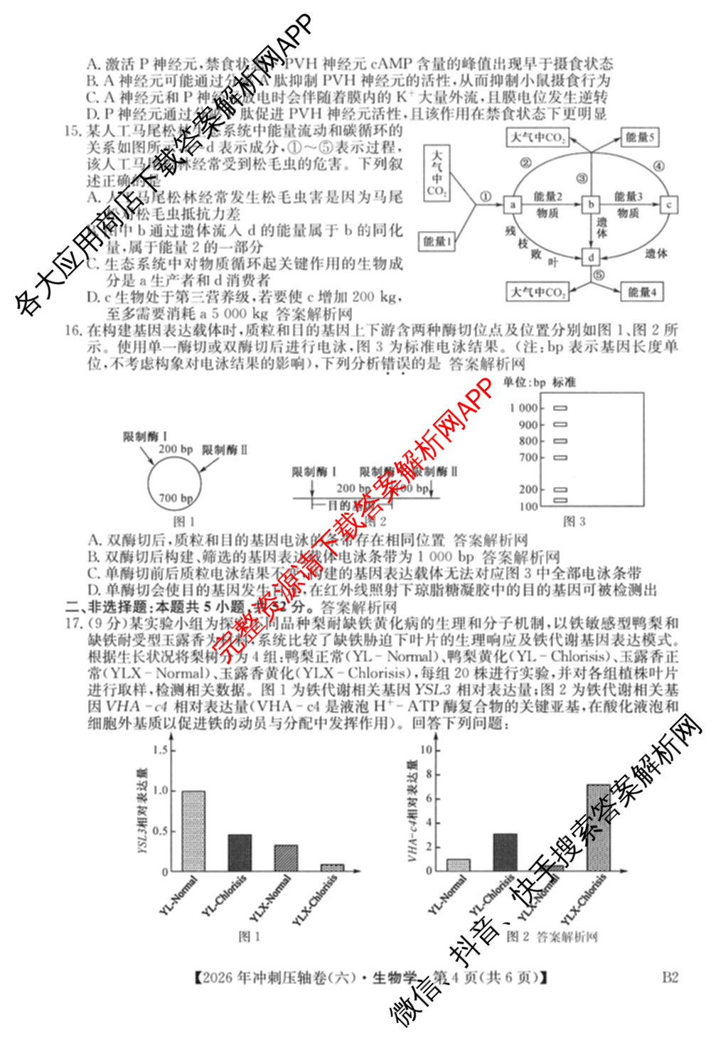 2026年全国高考冲刺压轴卷(六)6各科答案及试卷（含生物(B2) 历史(广西) 语文等）生物试题
