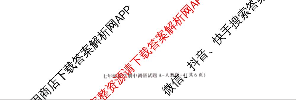 陕西省2024-2025学年度七年级第一学期期中调研试题(卷)试卷及答案汇总（17科全）数学试题