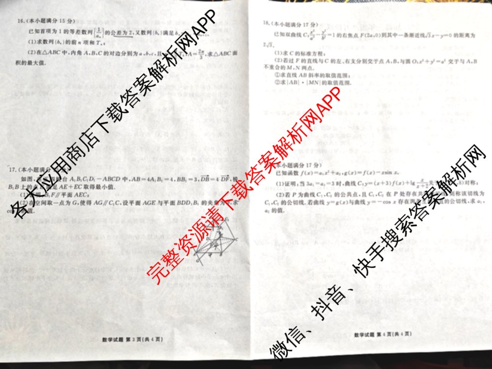 衡水金卷广东省2025届高三年级9月份联考各科答案及试卷（含语文 数学 地理等）数学试题