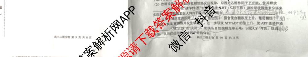 哈三中2025年高三学年第二次模拟考试试卷及答案汇总: 含化学 政治 数学试卷解析生物试题