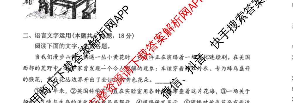湖北省腾云联盟2026届高三8月联合联考（含政治 地理 数学等9份）语文试题
