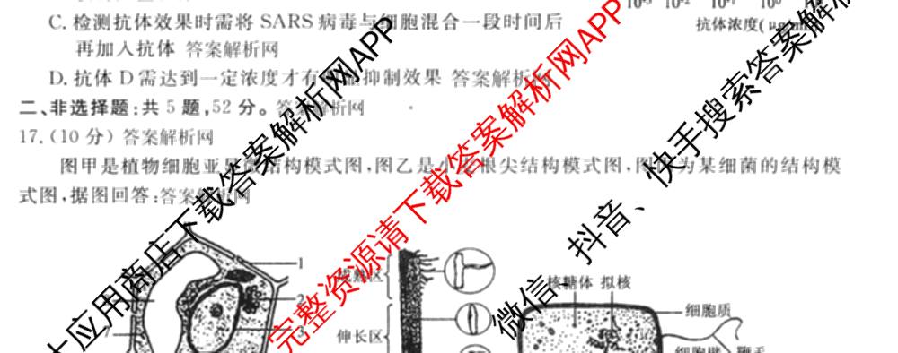 衡水金卷先享题月考卷2025-2026学年度上学期高三年级二调考试试卷及答案汇总（含英语 生物 化学等）生物试题