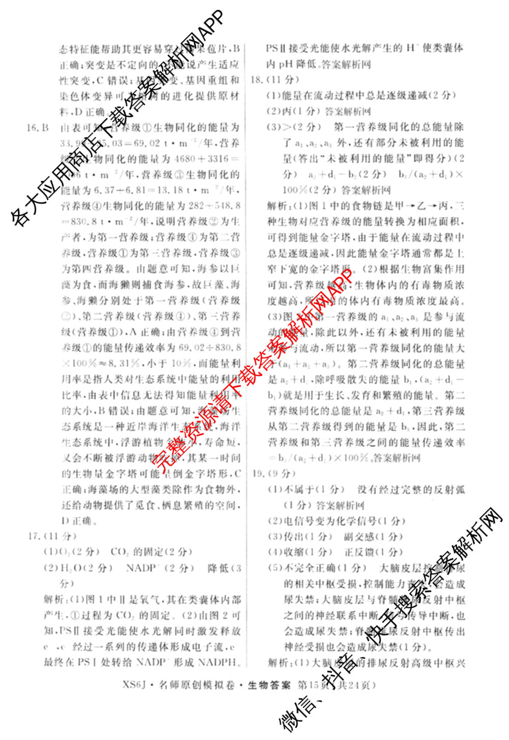 2026届高三总复名师原创模拟(四)4各科答案及试卷（39科全）生物答案