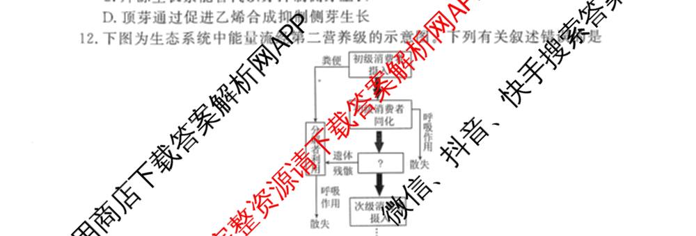 衡水金卷先享题调研卷2026年普通高等学校招生全国统一考试模拟试题(四)4(已更新生物(山东专版) 理综 历史(JS)等91份)生物试题