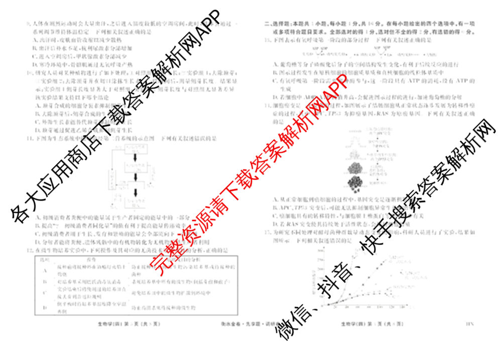 衡水金卷先享题调研卷2026年普通高等学校招生全国统一考试模拟试题(四)4(已更新生物(山东专版) 理综 历史(JS)等91份)生物试题