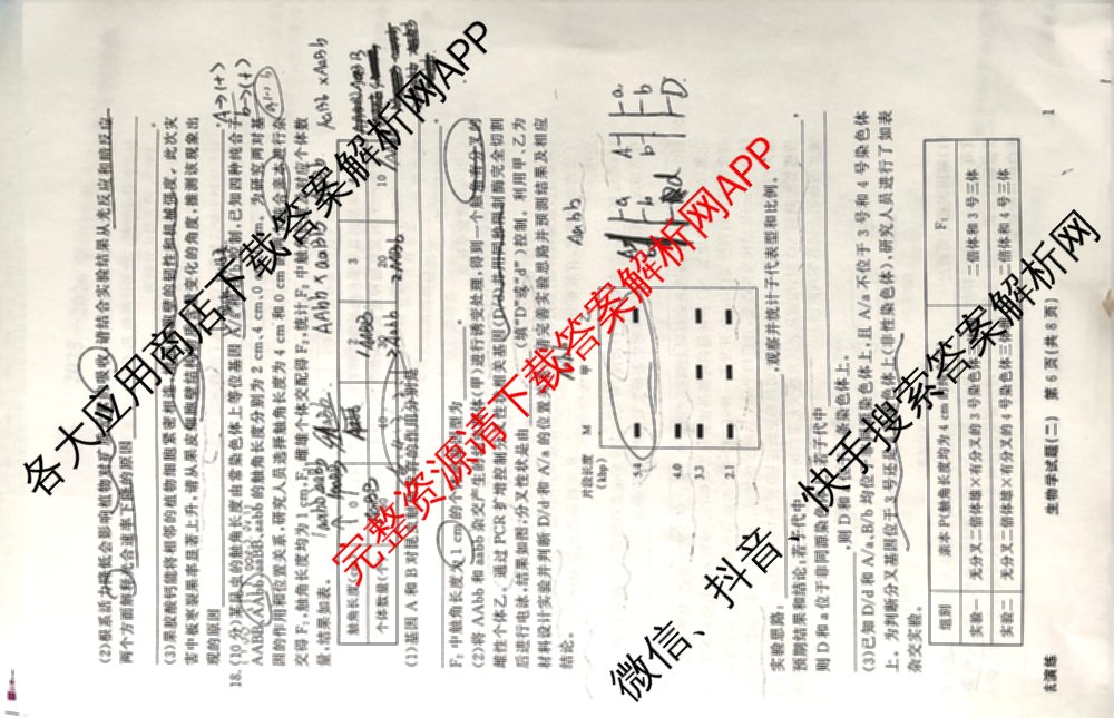 真题密卷2025-2026学年度备考信息导航演练(二)2各科答案及试卷（22科全）生物试题