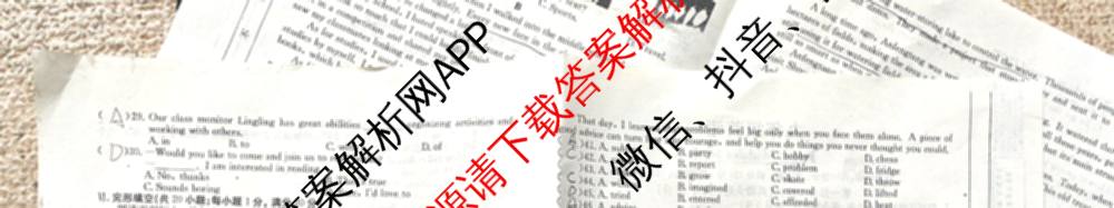 安徽省2026届九年级阶段评估[AH(2)]各科答案及试卷（含语文(R)、历史(R)、数学(R)等14份）英语试题