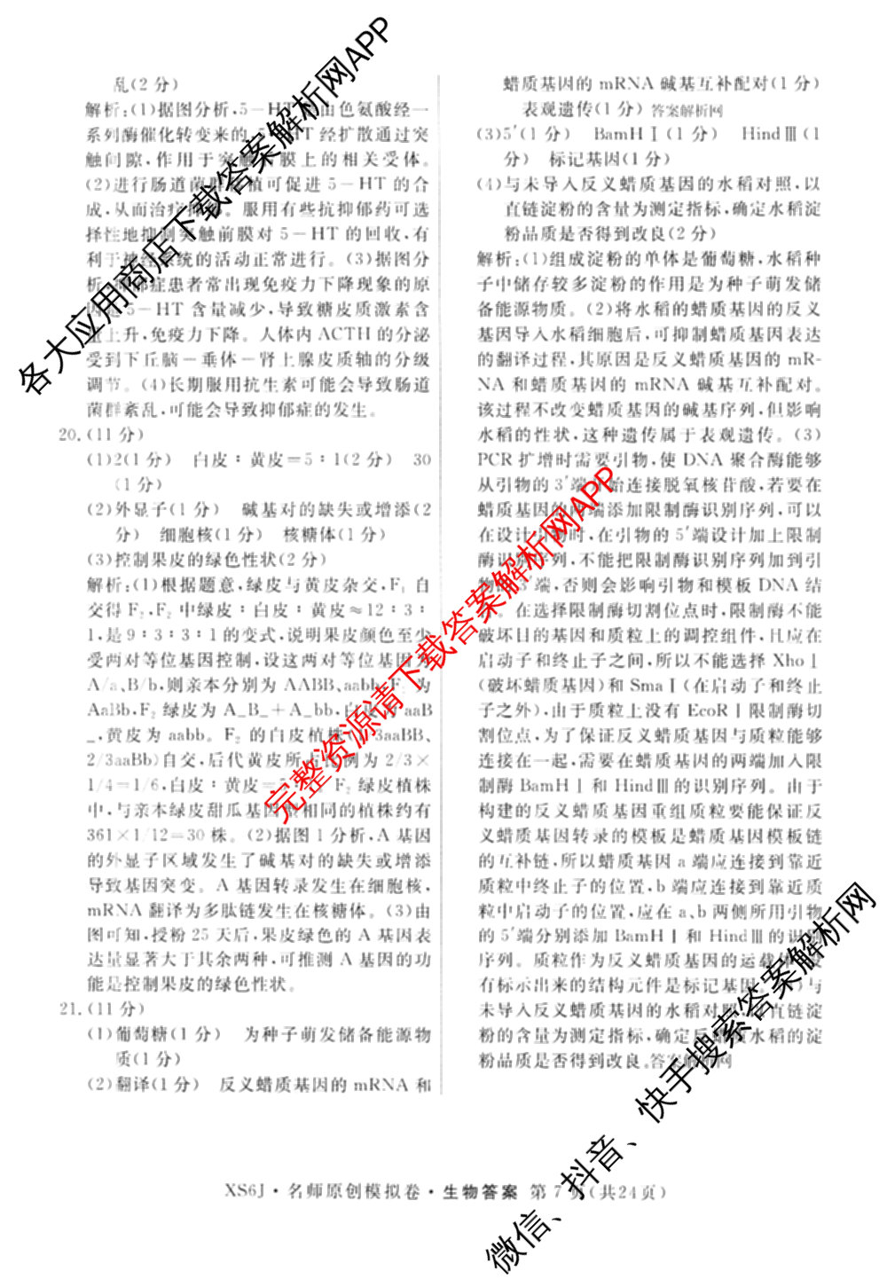 2026届高三总复习名师原创模拟(二)2各科答案及试卷(已更新历史(XS6J)、化学(XS6JG)、物理(XS6J)等39份)生物答案