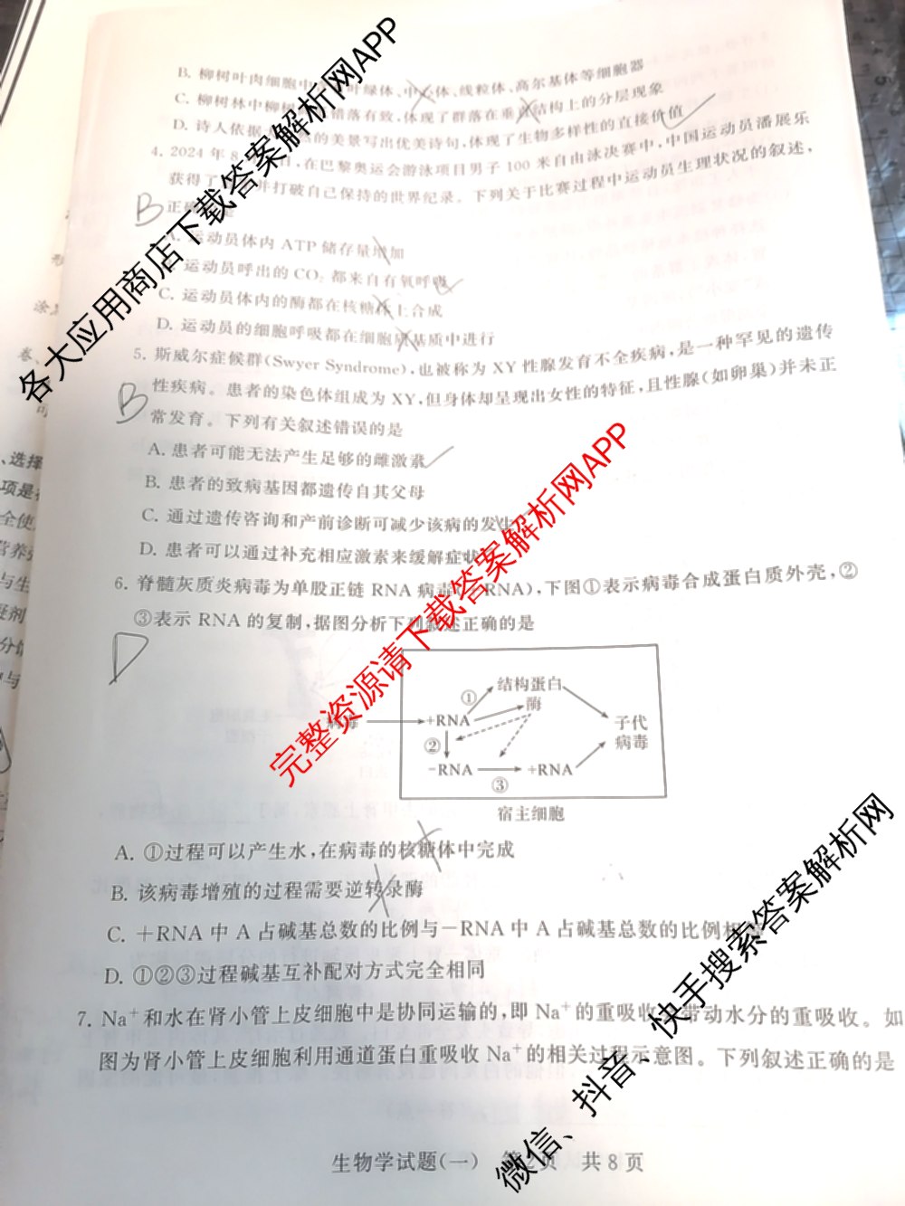 2025届全国冲刺新高考2025届高考仿真模拟卷(T8)(一)(含生物(HBZB)、物理(河南专版)、语文(HBZB)等26份)生物试题 2025届全国冲刺新高考2025届高考仿真模拟卷(T8)(一)(含生物(HBZB)、物理(河南专版)、语文(HBZB)等26份)生物试题