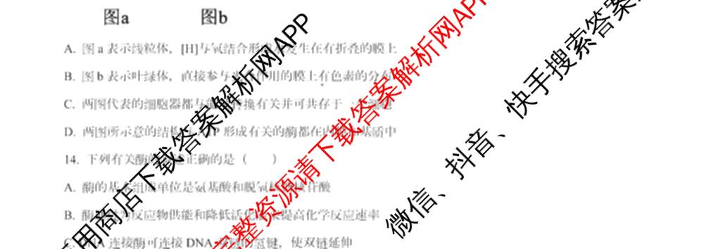 南开大学附属中学2026届上学期第一次阶段检测(已更新政治、数学、地理等9份)生物试题