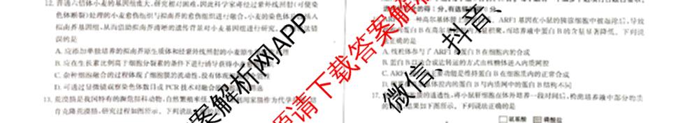 优高联考山东省2026届高三考试(无标题)(2025.9)各科答案及试卷（含语文、化学、英语等9份）生物试题
