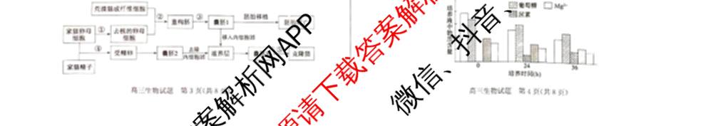 优高联考山东省2026届高三考试(无标题)(2025.9)各科答案及试卷（含语文、化学、英语等9份）生物试题