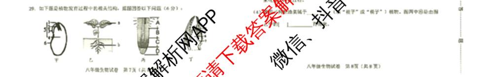 河北省保定市2025-2026学年第一学期期中学业质量监测八年级各科答案及试卷（8科全）生物试题