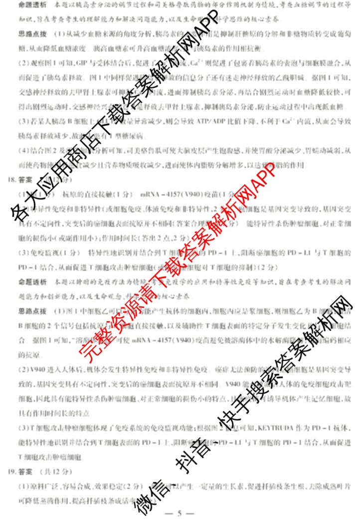  天一大联考安徽2025-2026高二年级12月阶段性检测(无标题)各科答案及试卷（含英语 地理 政治(C卷)等）生物答案