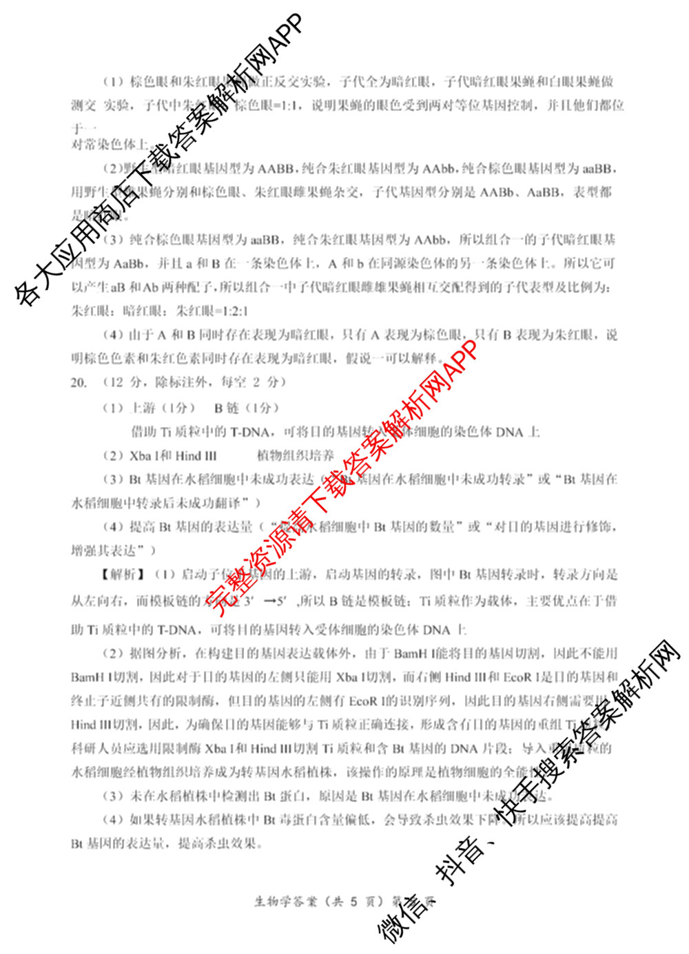 江淮十校2025届高三第一次联考(2024.8)试卷及答案汇总（含化学、数学、语文等）生物答案