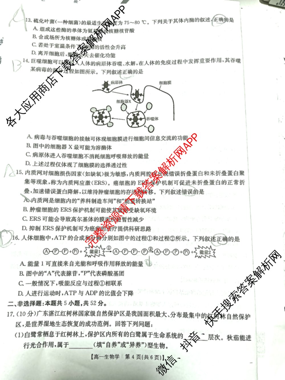 陕西省2025-2026学年高一年级考试(12.16)试卷及答案汇总（10科全）生物试题