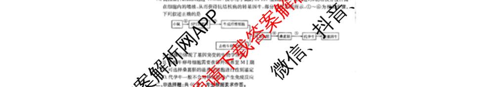 广西2026届高三开学考试(8.6)各科答案及试卷（9科全）生物试题