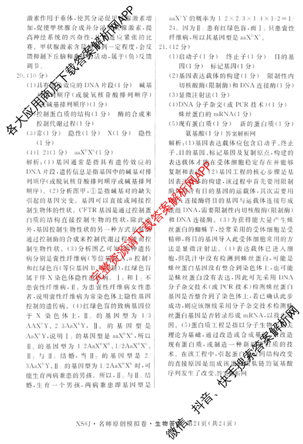 2026届高三总复名师原创模拟(十二)12各科答案及试卷(已更新化学(XS6J) 生物(GDX6) 生物(XS6)等39份)生物答案