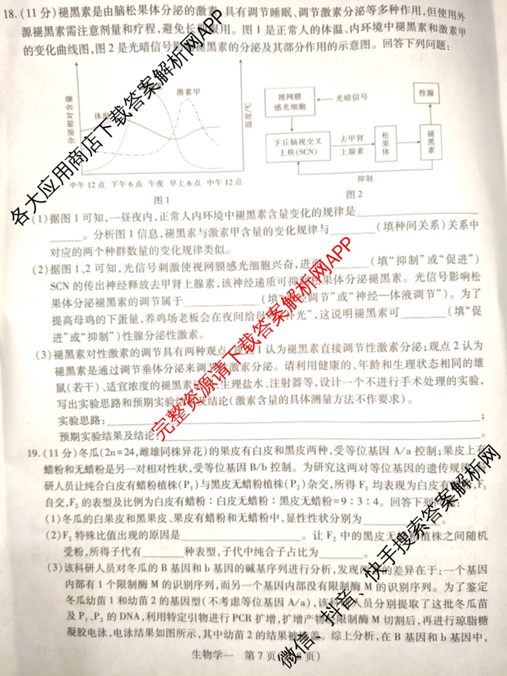 2026届智慧上进名校学术联盟高考模拟信息卷&冲刺卷&预测卷(一)1试卷及答案汇总(已更新地理(II-26-1) 物理(HN) 英语(I B-26-1)等49份)生物试题