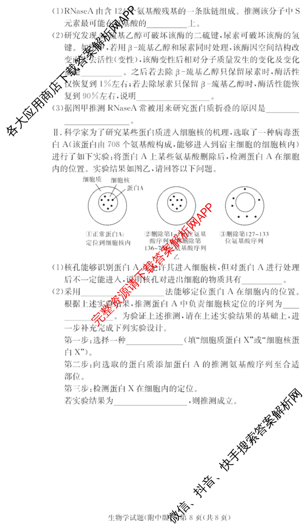炎德英才大联考湖南师大附中2025-2026学年度高一第一学期期中考试试卷及答案汇总（含化学、政治、物理等）生物试题