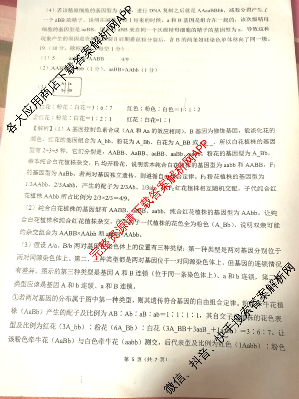 百师联盟2026届高三年级12月阶段检测(12.5)各科答案及试卷（含地理 数学 英语等）生物答案