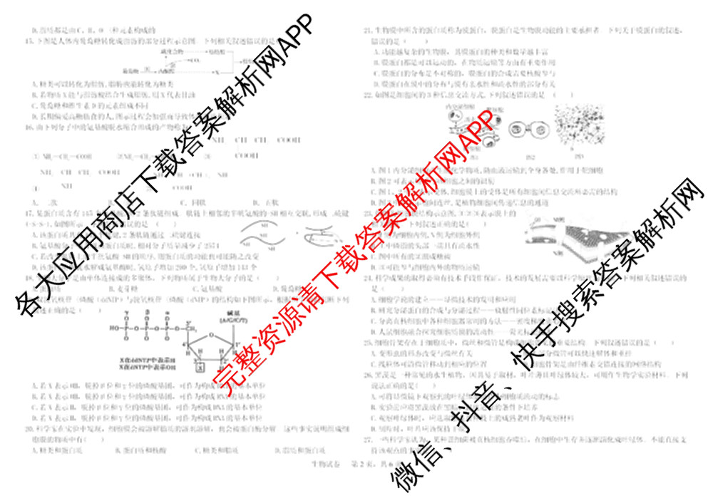 哈师大附中2025级2025-2026学年度第一学期期中考试（9科全）生物试题