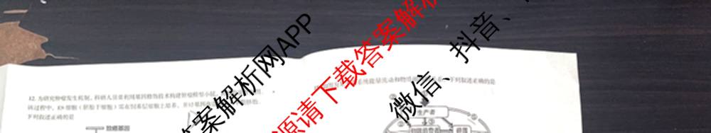 郴州市2026届高三第一次教学质量监测试卷各科答案及试卷(含物理 英语 生物等)生物试题 郴州市2026届高三第一次教学质量监测试卷各科答案及试卷(含物理 英语 生物等)生物试题