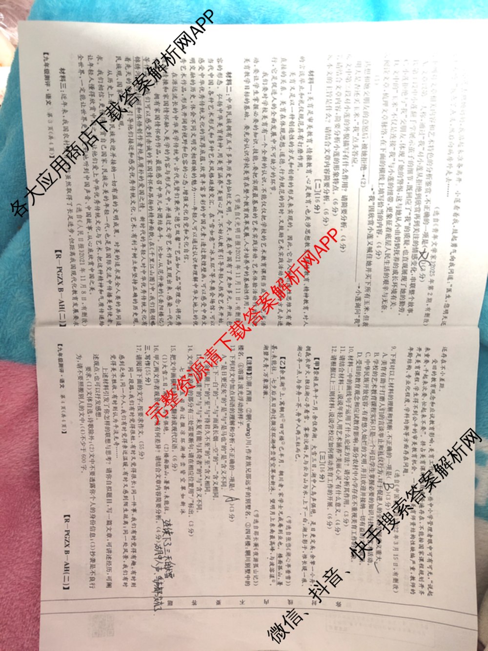 安徽省2026届九年级测评(PGZXB-AH(二))各科答案及试卷（11科全）语文试题