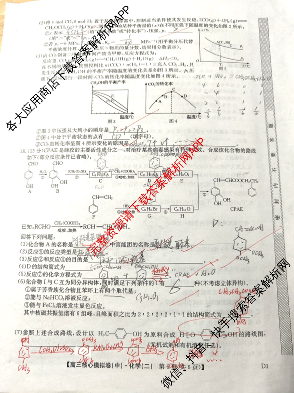 九师联盟2024~2025学年高三核心模拟卷(中)(二)2各科答案及试卷: 含政治(JX) 生物(D1) 生物(HB)试卷解析化学试题