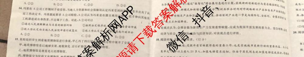 桂柳文化2025届高考桂柳鸿图模拟金卷(一)1试卷及答案汇总（含物理 语文 政治等）政治试题