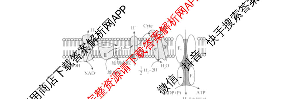 天舟高考衡中同卷2026年普通高等学校招生全国统一考试模拟信息卷(五)5(已更新化学(无字母)、数学(B)、物理(WY)等35份)生物试题