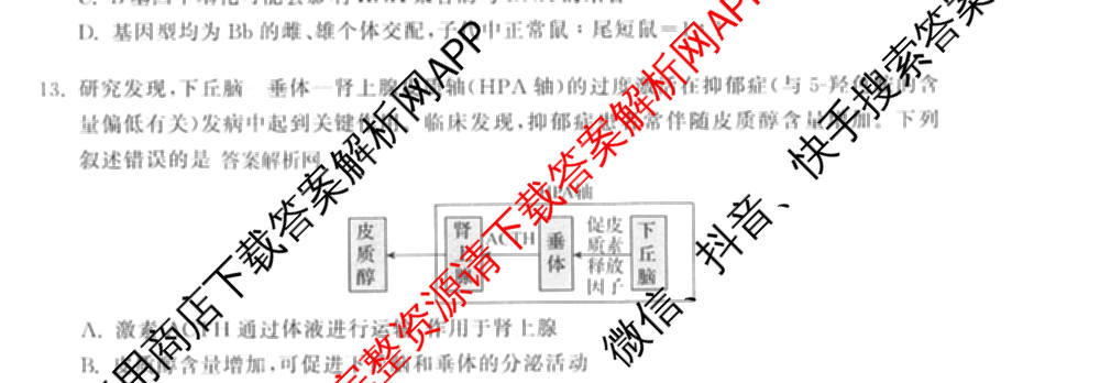 天舟高考衡中同卷2026年普通高等学校招生全国统一考试模拟信息卷(五)5(已更新化学(无字母)、数学(B)、物理(WY)等35份)生物试题