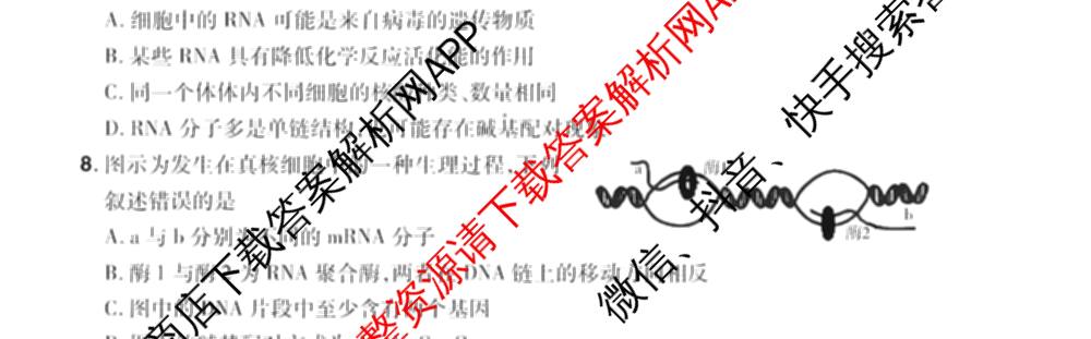 HX 2024-2025学年下学期期末测评试卷高一试卷及答案汇总（含地理、政治、物理等）生物试题